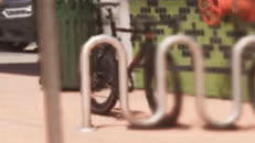 Endurex Race Bike